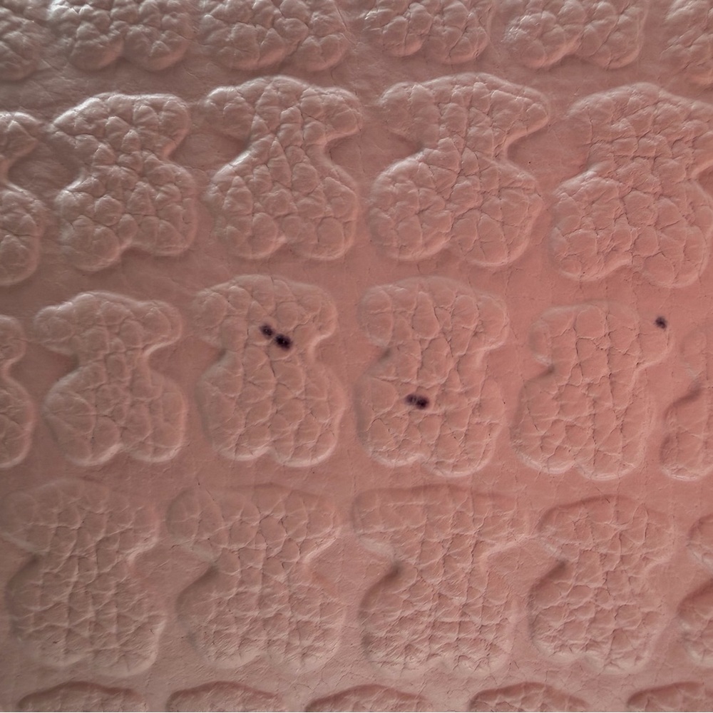 Sherton Tous Pink Crossbody Bag - Picture 10 of 15